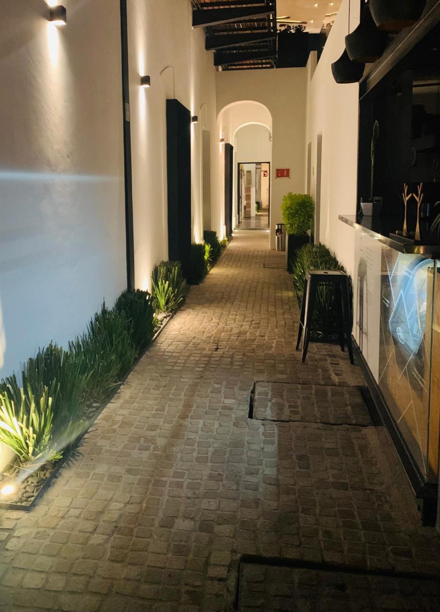 Hotel Boutique Mo17 Querétaro Eksteriør billede